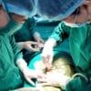 Phẫu thuật cấp cứu thành công cho bệnh nhân gãy cột sống thắt lưng do tai nạn lao động