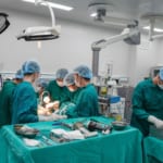 Tự điều trị gãy cổ xương đùi bằng đắp thuốc lá dân gian 02 tháng, bệnh nhân nhập viện trong tình trạng đau đớn, không di chuyển được