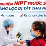Xét nghiệm NIPT trước sinh: Sàng lọc dị tật thai nhi an toàn, không xâm lấn